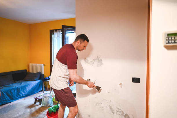 Best DIY Mold Remediation Support Services in Bowling Green, MO
